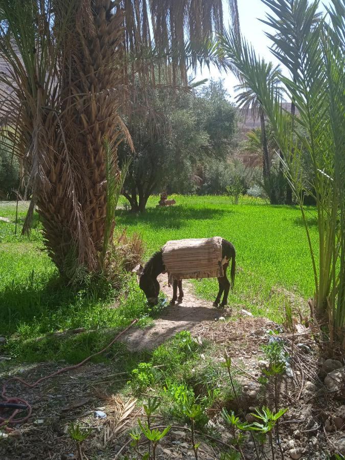 Dar Jamila Hotel Achbarou Exterior photo